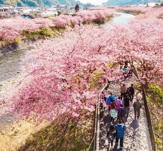 061457171334.jpg 8.webp.jpg